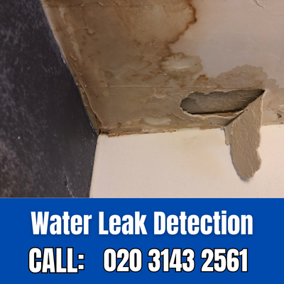 Expert Water Leak Detection Services in St. Margarets | St. Margarets Leak Detection